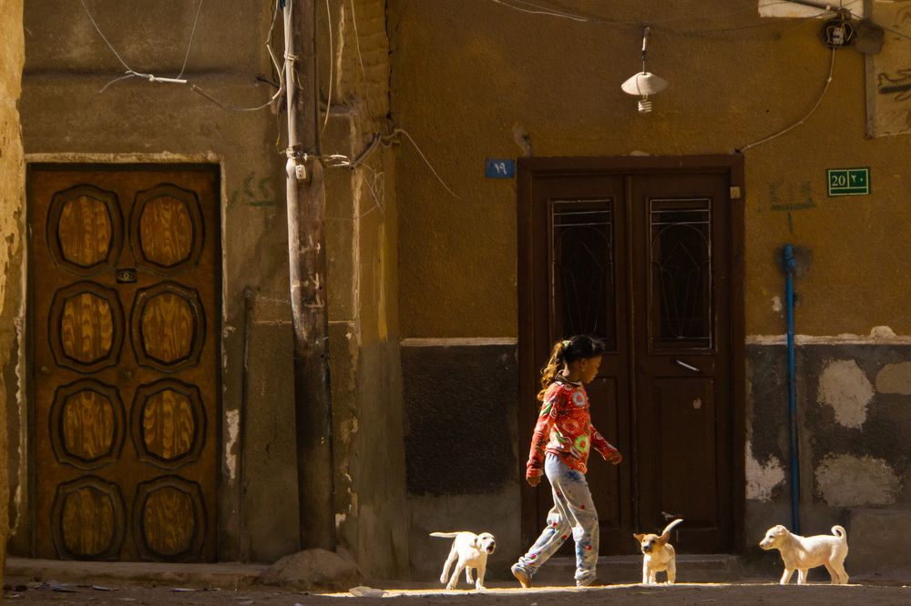 Cairo and Aswan, Egypt