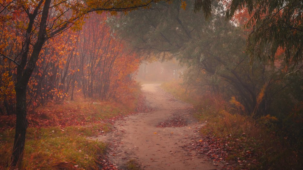 Портал в осень