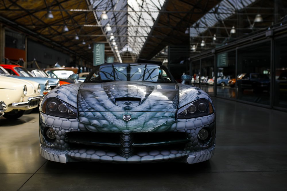 Photograph by Hillel Shatz