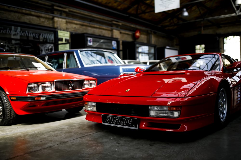 Photograph by Hillel Shatz