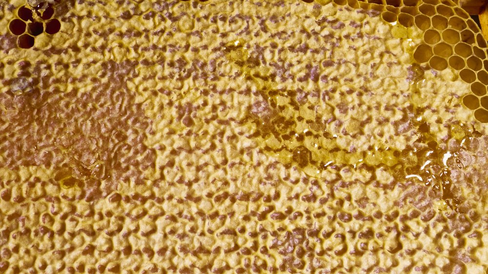 Photograph by Руслан Ибрагимов