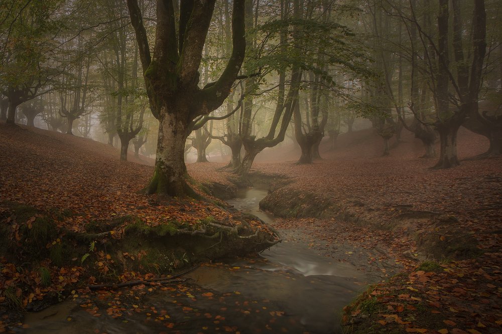 Photograph by Juan A Romero Salamanca