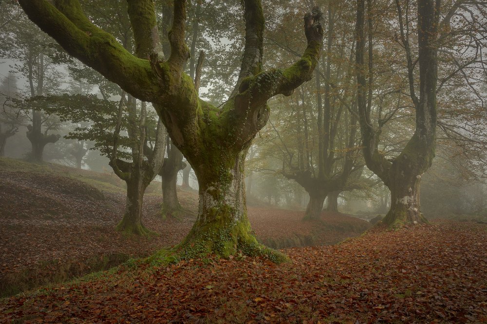 Photograph by Juan A Romero Salamanca