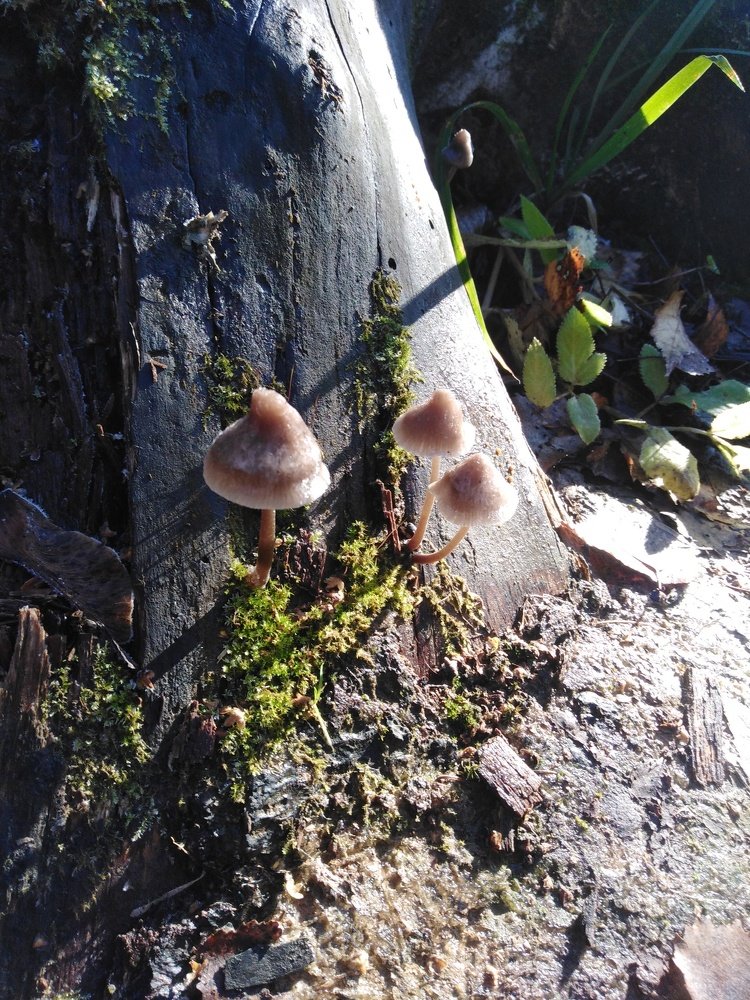 Photograph by Татьяна Ситникова