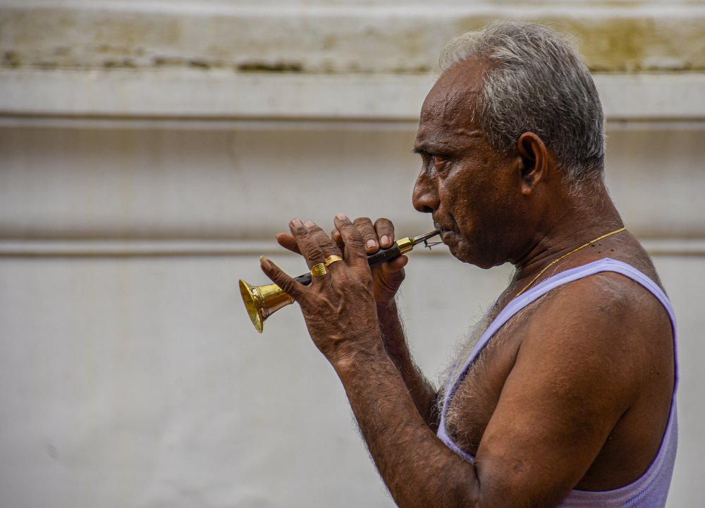 Photograph by chandima roshan