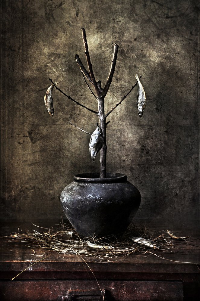 Photograph by Инна Буглак