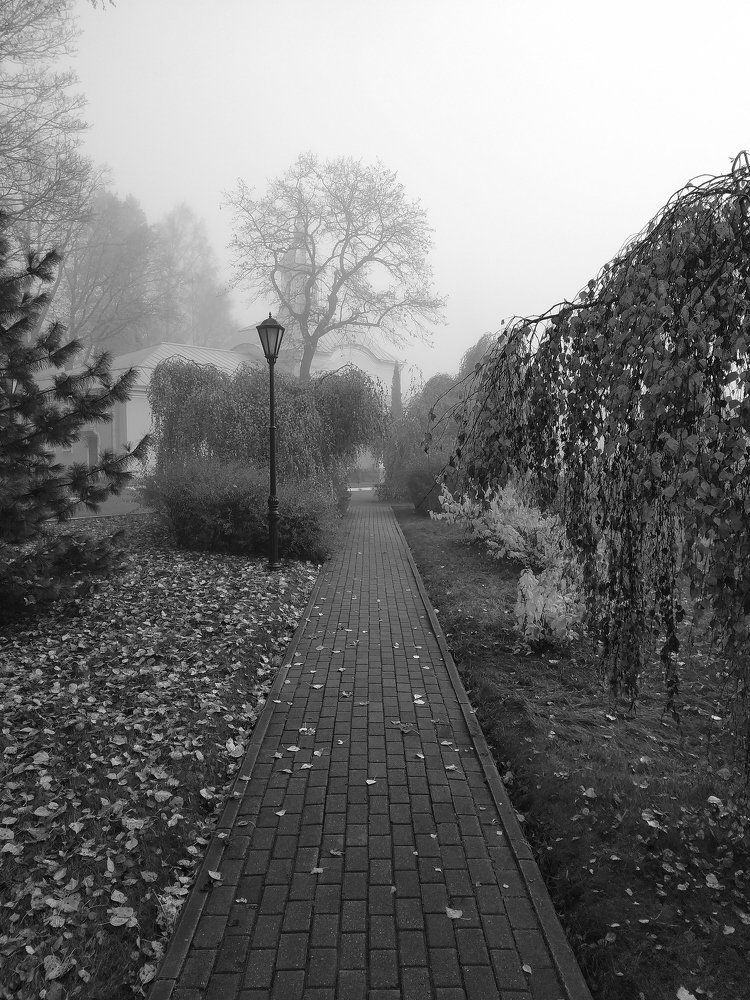 Photograph by Игорь Камов