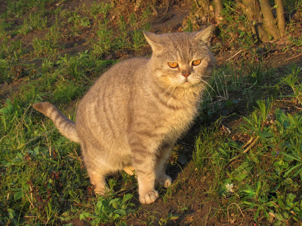 Photograph by Анна Кремешкова