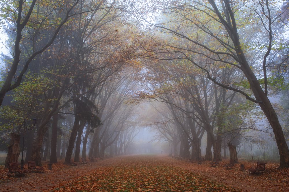 Photograph by Pavlo Lys