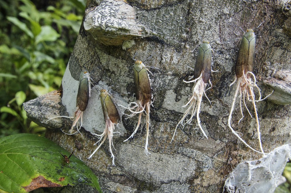 Photograph by Игорь Чупин