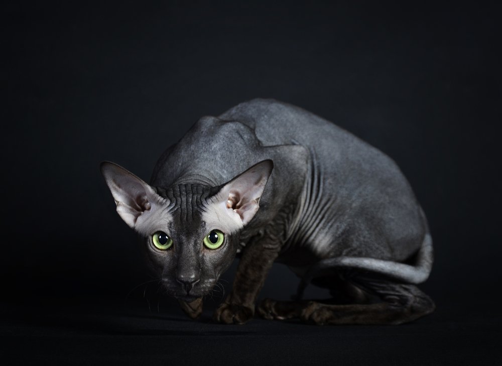 Photograph by Алексей Мистрюков