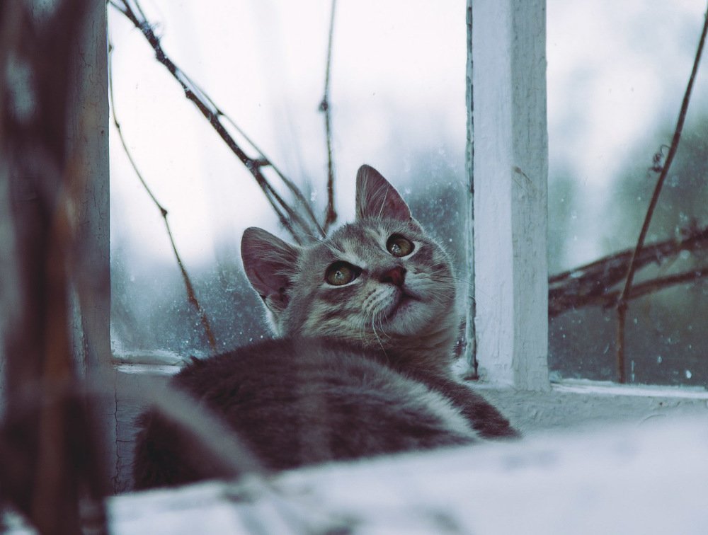 Photograph by Элина Васькова