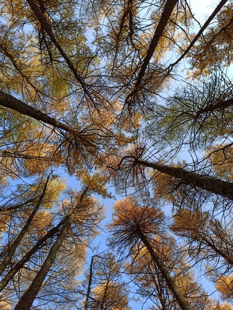 Photograph by Eлена