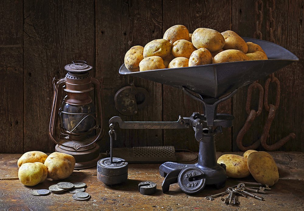 Photograph by Alexander Sviridov