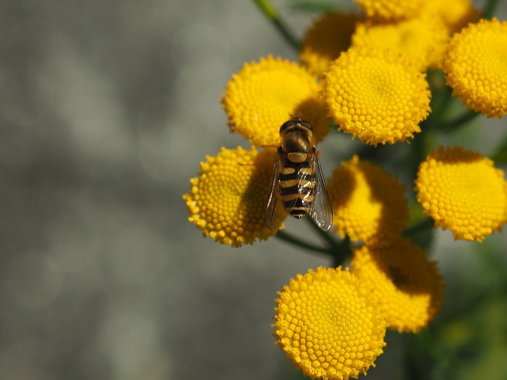 Photograph by Надежда Меркулова