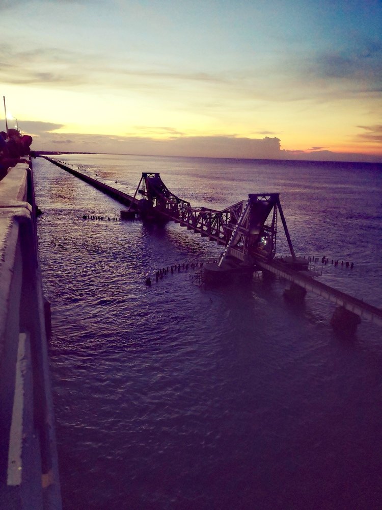 Photo #5253533