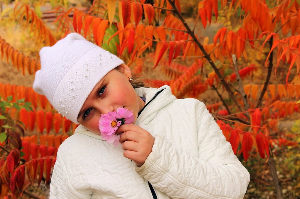 Яркие краски осени