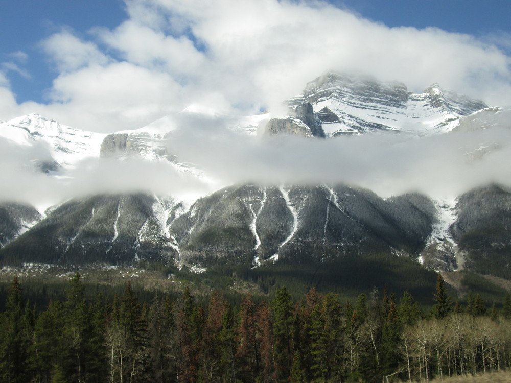 Photo #5253567