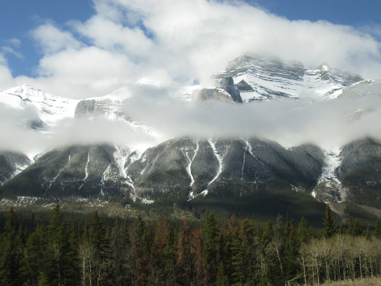 Photo #5253567