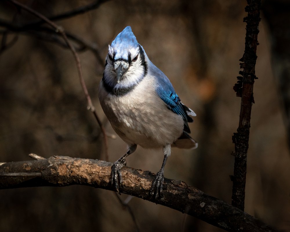 Photograph by JAMES BAILEY