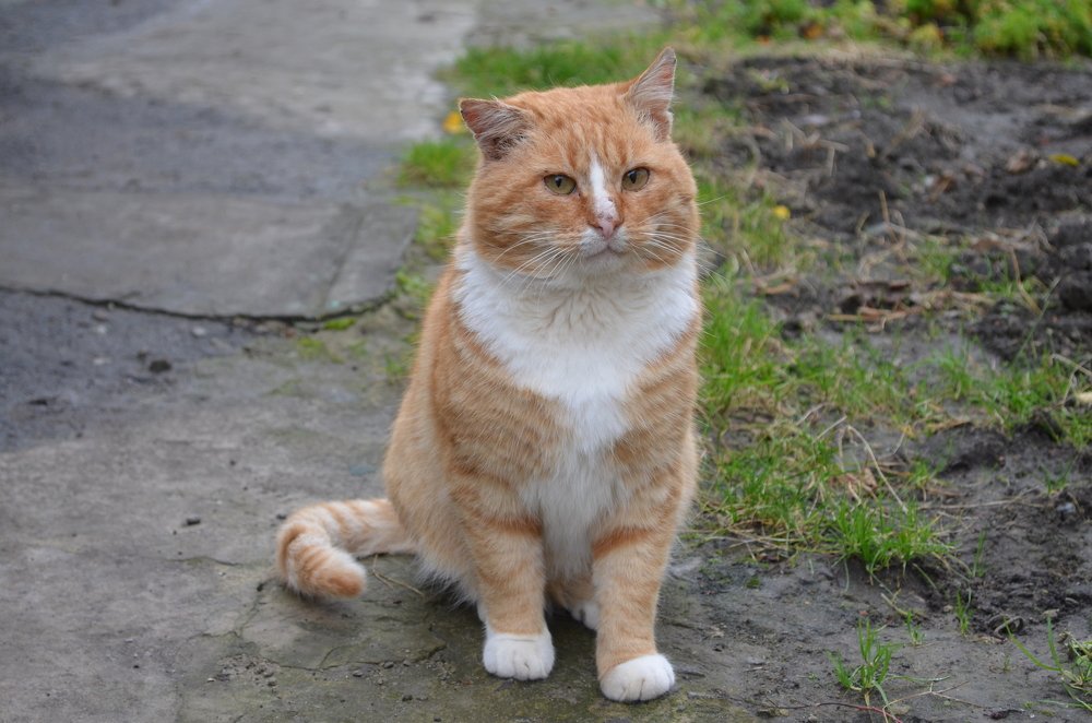 Photograph by София Ланьо