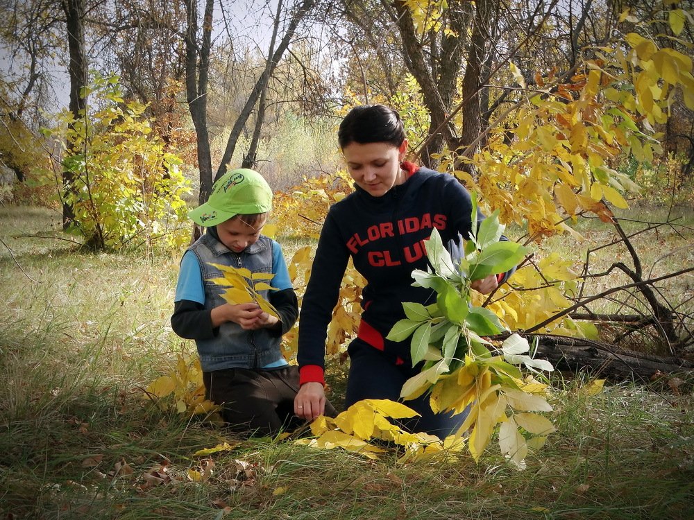 Осенние забавы