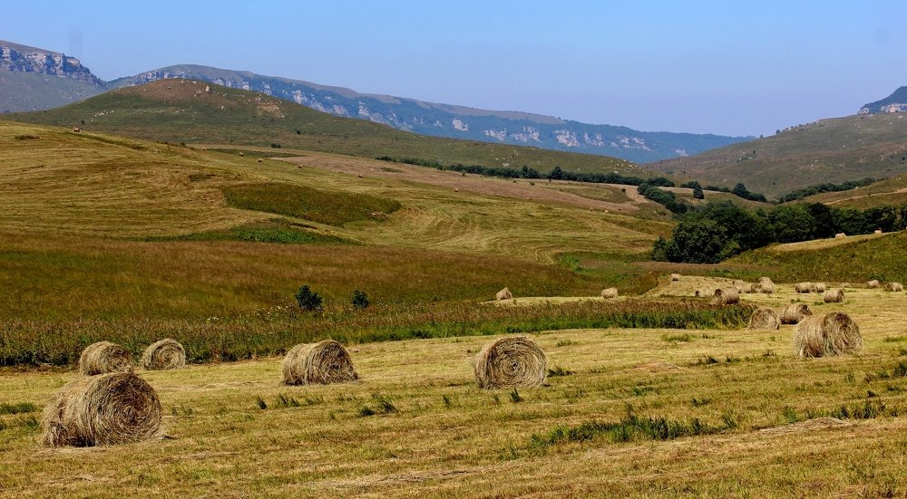 Photograph by Сергей Смоленцев