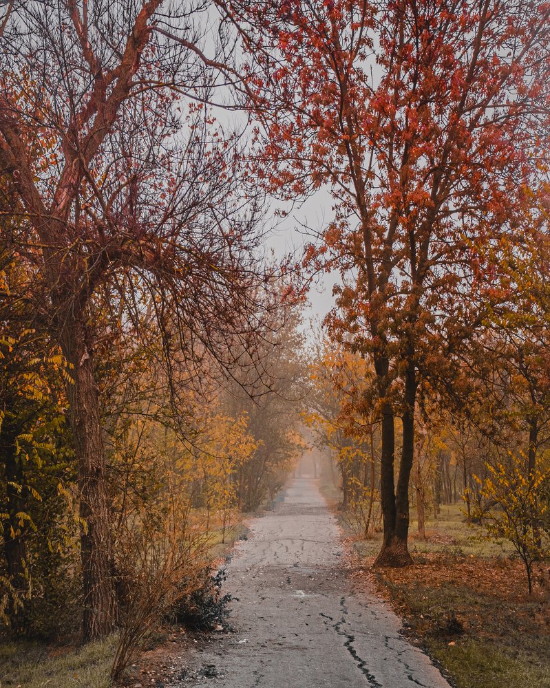 Photograph by Дарья Прусс