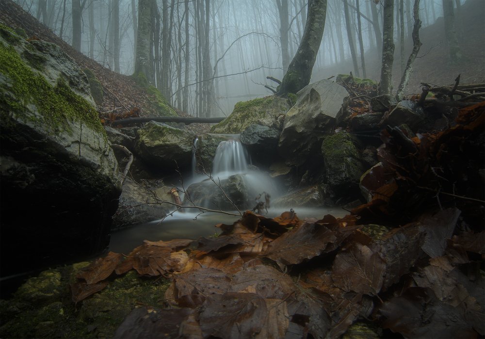 Photograph by Dino Sirica