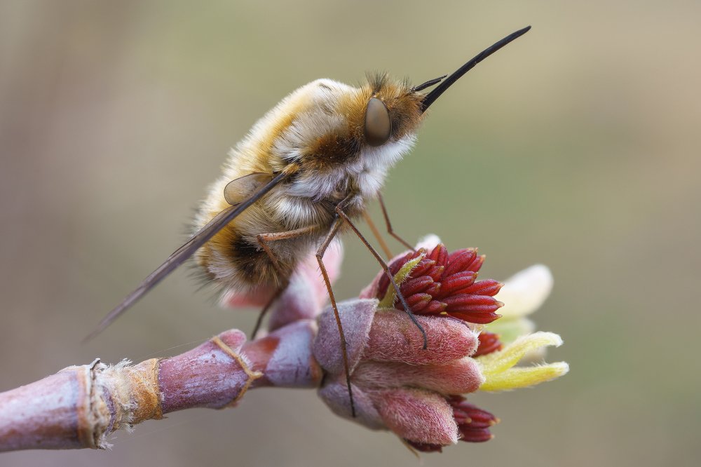 Photograph by Кузнецов Дмитрий
