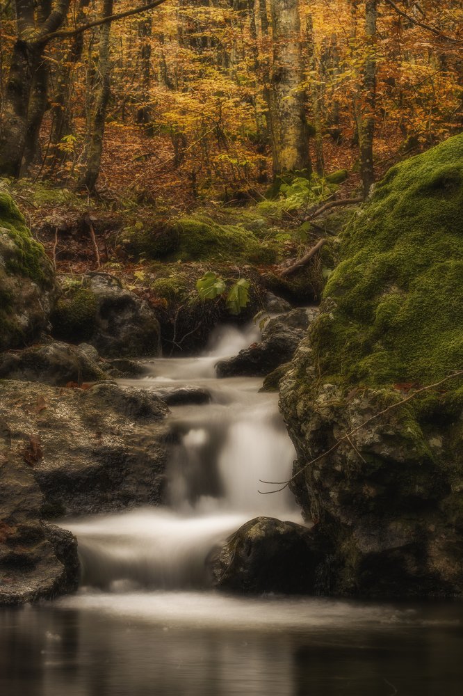 Photograph by Dino Sirica