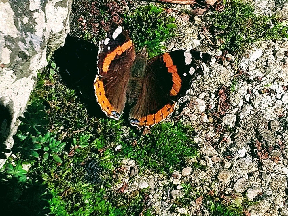 Photograph by Заира