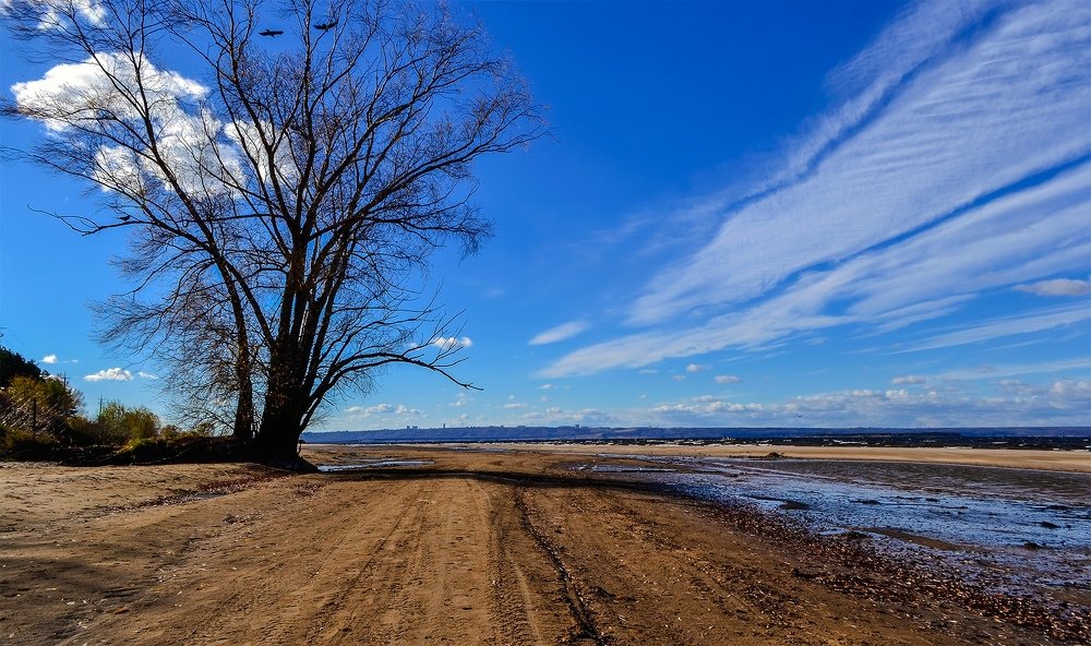 Photograph by Ольга Доловова