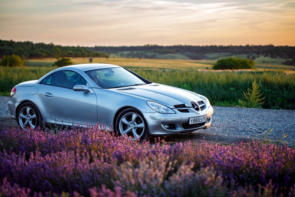 Photograph by Арнольд