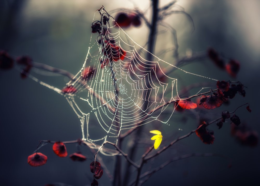 Photograph by Костадин Маджаров