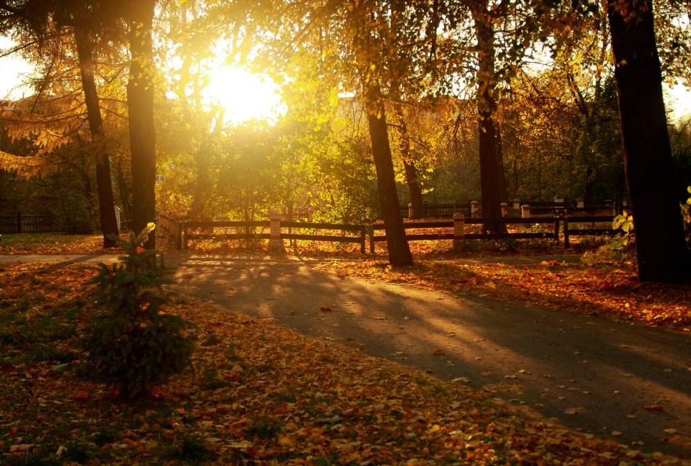 Photograph by Элина Васькова