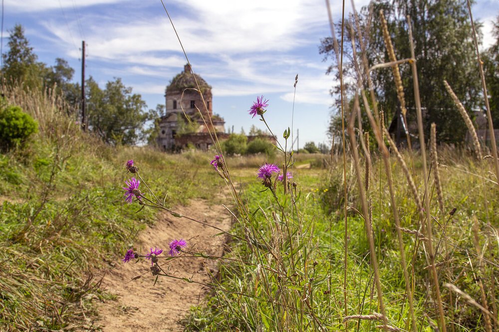 Photograph by Елена Гусева