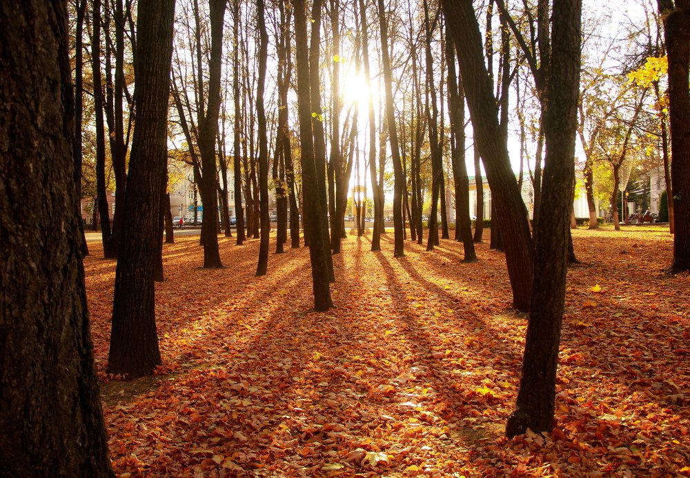 Photograph by Элина Васькова