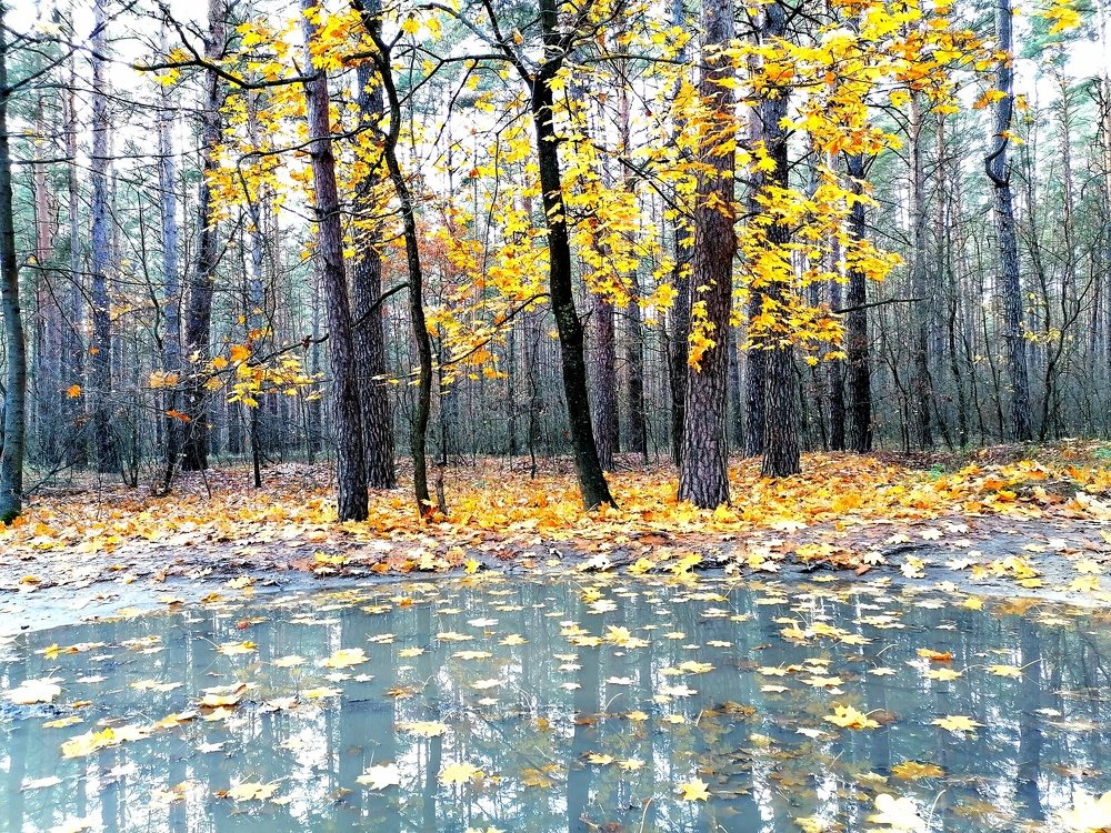 Photograph by Анатолий Мохорев