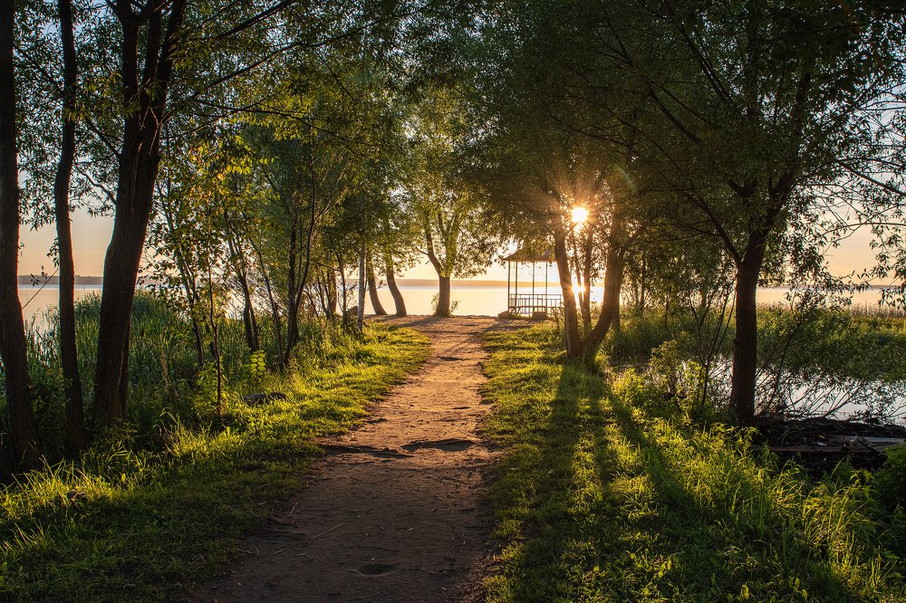 Photograph by Андрей