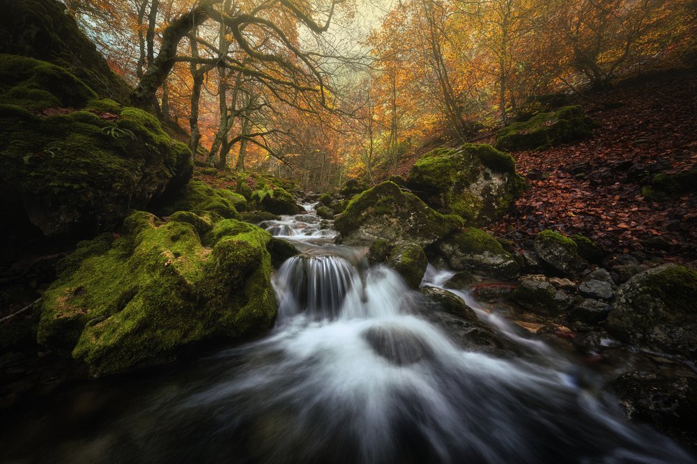 Photograph by Ignacio Municio