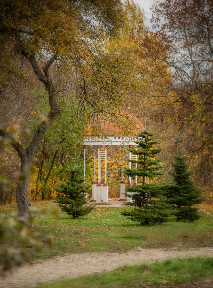 Фотография автора Вера Гарусина