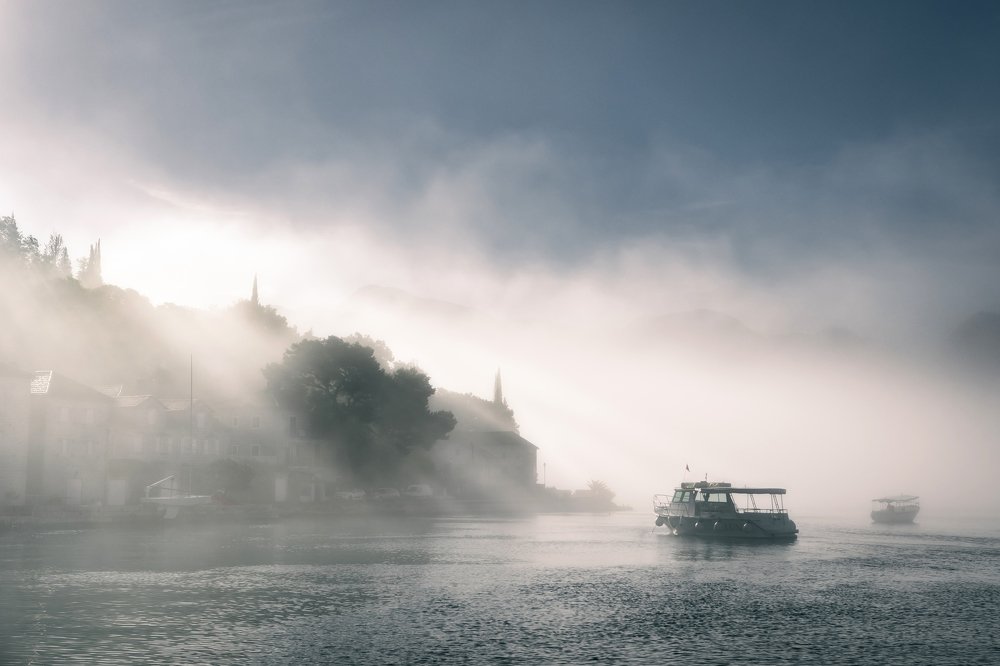 Туманное утро / Misty morning