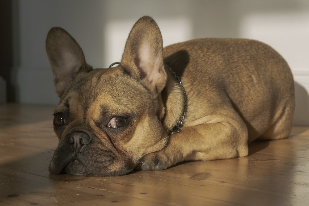 Photograph by Светлана Мельник