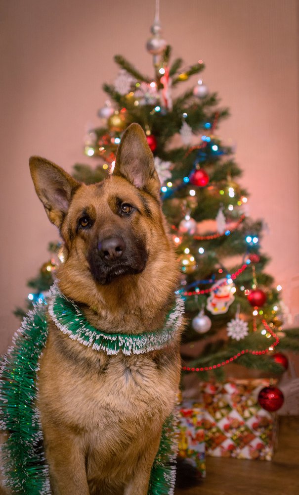 Photograph by Светлана Мельник