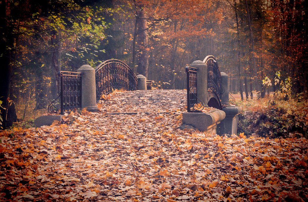 Photograph by alexOmRam