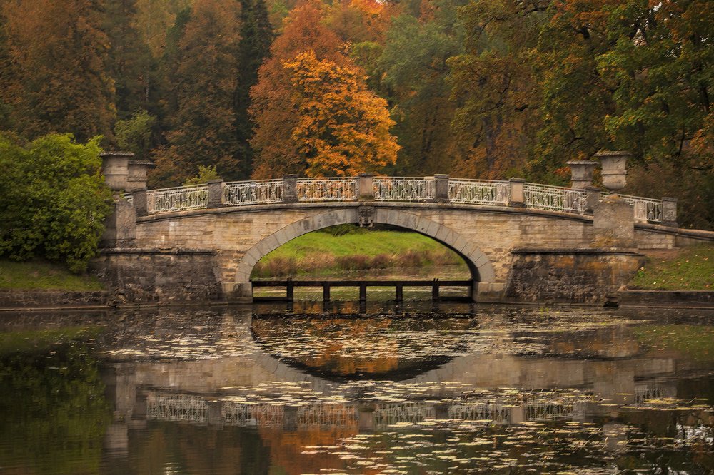 Photograph by alexOmRam