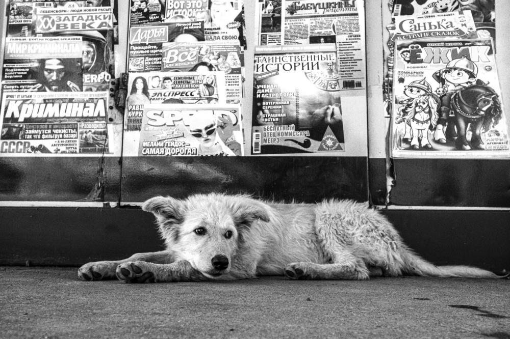 Фотография автора Денис Винарь