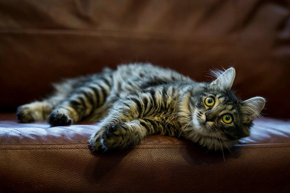 Фотография автора Денис Винарь