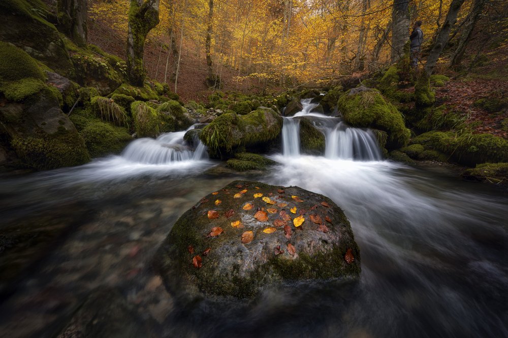 Photograph by Ignacio Municio